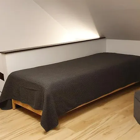 2 Floors, Sauna/jacuzzi, Max 6 People 公寓 克拉科夫